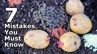 AVOID THESE 7 Potato Growing Mistakes [upl. by Iegres]