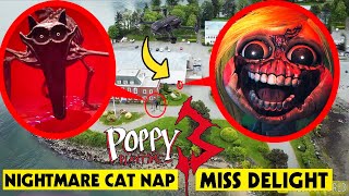 DRONE CATCHES MISS DELIGHT amp NIGHTMARE CATNAP  POPPY PLAYTIME CHAPTER 3 IN REAL LIFE POPPY ISLAND [upl. by Tess]