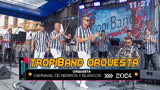 TropiBand Orquesta🎺Audiciones Tablados 2024🎭Carnaval de Negros y Blancos [upl. by Collin]