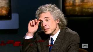 Steven Pinker The Decline of Violence [upl. by Lusty81]