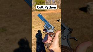 Colt Python for only 1099 👀 [upl. by Hewart714]