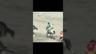 Атакттуу миллион🐎🔥👍 kyrgyzstan horse rek базар [upl. by Llennol]