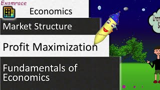 Profit Maximization Fundamentals of Economics [upl. by Atnas]