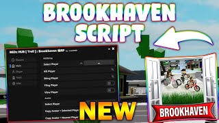 NEW Brookhaven 🏡RP Script PASTEBIN 2024 KILL ALL KICK BRING PLAYERS TROLL FREE GAMEPASSES [upl. by Amend477]