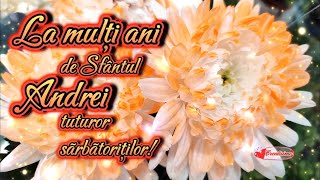 🎉La mulți ani de Sfântul Andrei  Andreea Andu Andra 🥰 Urări și Mesaje frumoase de ziua onomastica [upl. by Yelah]