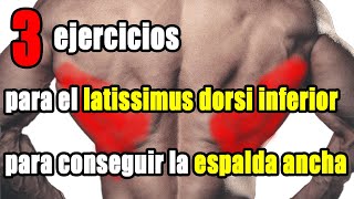 Los 3 mejores ejercicios del dorsal ancho inferior para una espalda más voluminosa [upl. by Llenal]