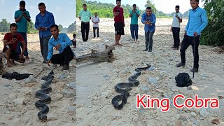 😱 🐍 World Big King cobra snake rescue in Nepal नेपाल को सबै भन्दा ठूलो किंग कोब्रा सर्प भेटियो [upl. by Ailil]