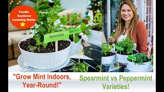 Grow Mint Indoors Spearmint and Peppermint Plant Varieties Foodie Gardener Shirley Bovshow [upl. by Novyert]