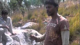 RASAMANI SIDDHAR  SISHYAS EXPLAINING ABOUT RARE HERBAL PLANT  KAL THAMARAI [upl. by Ophelia]