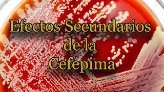 Efectos Secundarios de la Cefepima [upl. by Casimire]