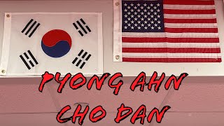 Pyong Ahn Cho Dan form tutorial [upl. by Yeslek]