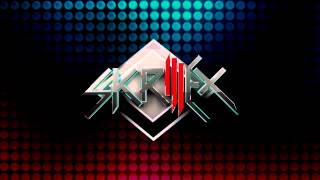 Skrillex Voltage HD [upl. by Alansen]