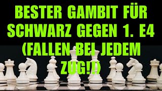 Bester Gambit Für Schwarz Gegen 1 E4 Fallen Bei Jedem Zug [upl. by Yelmene310]