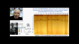 Endopeptidases et étude de la diversité génétique du palmier dattier  تنوع النخيل [upl. by Anrehs]