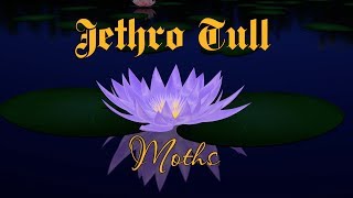 Мотыльки Jethro Tull 1978 Визуализация и перевод [upl. by Idelson]