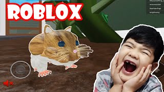 ROBLOX HAMSTER SIMULATOR GAMEPLAY Pet Simulator Game for Kids [upl. by Nirra875]