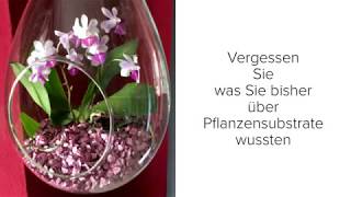 Orchideen einpflanzen  vollkommen anders [upl. by Lanam470]