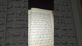 Reciting Quran Verses quranrecitation quranreading shorts [upl. by Readus]