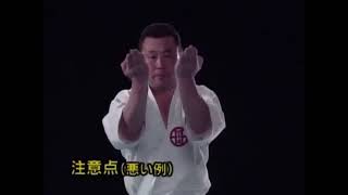 Seienchin  Kata amp Bunkai  Shito Ryu Karate [upl. by Etezzil370]