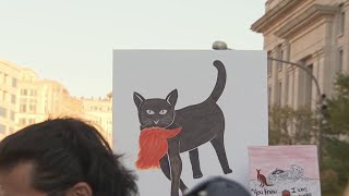 Thousands gather for womens rights in Downtown DC ahead of election  NBC4 Washington [upl. by Reppiks]