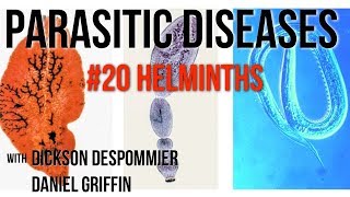 Parasitic Diseases Lectures 20 Helminths [upl. by Bej]