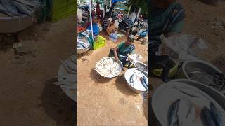 Nagercoil Fish Market [upl. by Yelwah500]