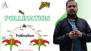 🌱Pollination परागण🐝 Type Of Pollination ‼️Why Pollination Is Required 🌾 Pollinating Agents🦋pw [upl. by Itagaki]