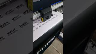 graphtec plotter stickers printing printingservice roland transparent decals [upl. by Quar]