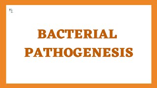 Bacterial Pathogenesis Stages Determinants and Virulence  This is How Bacteria Cause Damage [upl. by Mellette]