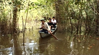 Vietnam Travel 16 Mekong Delta [upl. by Ellevehc]