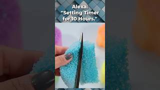 😠 Arguing with Alexa 💥💥 Slime Storytime shorts [upl. by Mahan208]