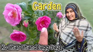 Garden Ko Char Chand Lagg Gaye 🤣🤣🤣 [upl. by Enialedam]