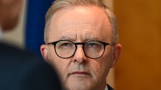 Nationals Senate Leader slams Anthony Albanese as ‘gutless wonder’ [upl. by Ehcar104]