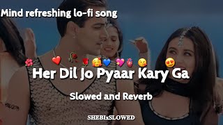 Her Dil Jo Pyaar Kary Ga  Slowed and Reverb Salman Khan Rani Mukher  Udit Narayan Alka Yagnik [upl. by Elbys269]