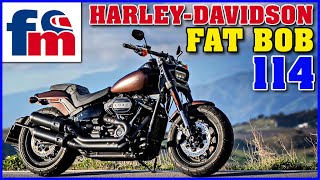 HarleyDavidson Softail Fat Bob 114  Review y prueba [upl. by Aleda]