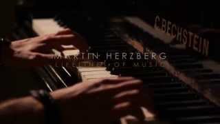 Martin Herzberg  Lifelines of Music Kanalvorschau [upl. by Natam]