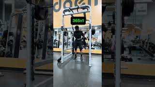 Gaining momentum youtubeshorts squats powerbuilding [upl. by Nilkcaj256]