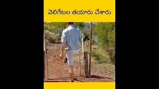 Vellu gate ala thayaru cheysaru facts telugu amazingfacts [upl. by Schroer]