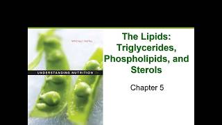 The Lipids Chapter 5 [upl. by Aneez]