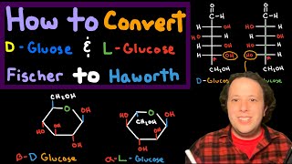 How to Draw Haworth Projections of L and D Glucose from Fischer Projections  Chemistry Tutorial [upl. by Rosse61]