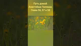 Путь домой Анастейша Тиллман Глава 56 57 и 58 Аудиокнига аудиокнига анастейша [upl. by Patrizius]