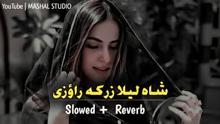 Sha Laila Zarka Raoze Da Khyali Kameez Ye Tang Dai  SlowedReverb  Pashto New Mast Song [upl. by Conn]