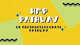 Hexose Monophosphate pathway  pentose phosphate pathwayHMP pathway shunt phosphogluconate pathway [upl. by Corella]