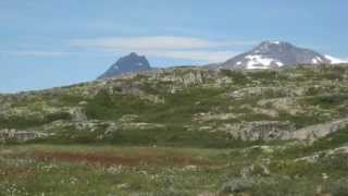 Steinrøysa neri bakken sang Torill Langenes [upl. by Mamoun]