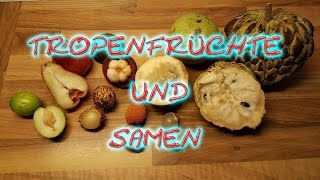 Tropenfrüchte und Samen [upl. by Allecsirp]