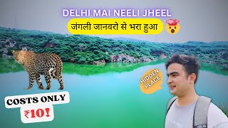 Asola Bhatti Wildlife Sanctuary 2024  Neeli Jheel  Hidden Place  hellopackers [upl. by Trow]