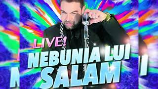 Florin Salam Nebunia lui Salam Colaj Manele Live [upl. by Neill]