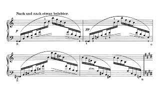 Scharwenka  3 Klavierstücke Op 86 AudioSheet Tanyel [upl. by Leirum367]