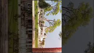 Fatima jinnah woman university humtvofficial jafaa humtventertainment muslimah love [upl. by Tacita]