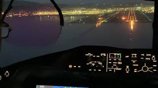 Cockpit View of Landing the 787 Dreamliner [upl. by Sunderland24]